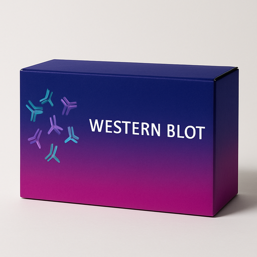 [WB-0015] ECL WEST PICO PLUS - 2x100 mL(2000 cm2)