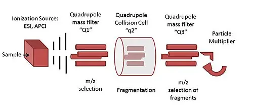 [MA-2307-2] Triple Quadrupole LCMS