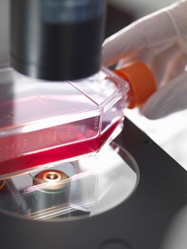 [SA-CAS9-126] LHCGR and Cre-tGFP Stable Co-expressing HEK293 Cell Line