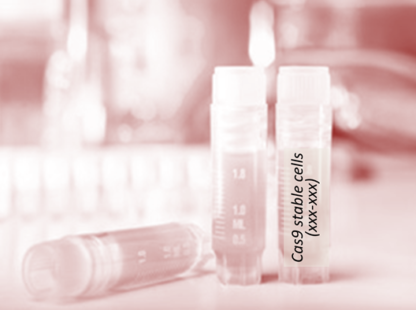 [SA-CAS9-291] Cas9 Stable Cell Line (HSC3)