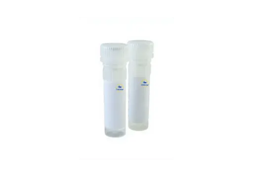 [GEN-ACC-PR2001-L-500]  qmax probe low rox qpcr mix 500 reactions