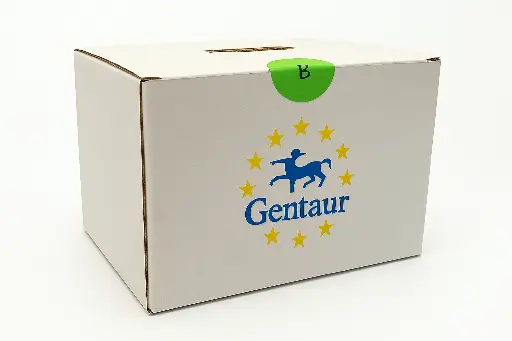 [FM-MS-VM-110-JP] Vortex Mixer YP-18, 110V